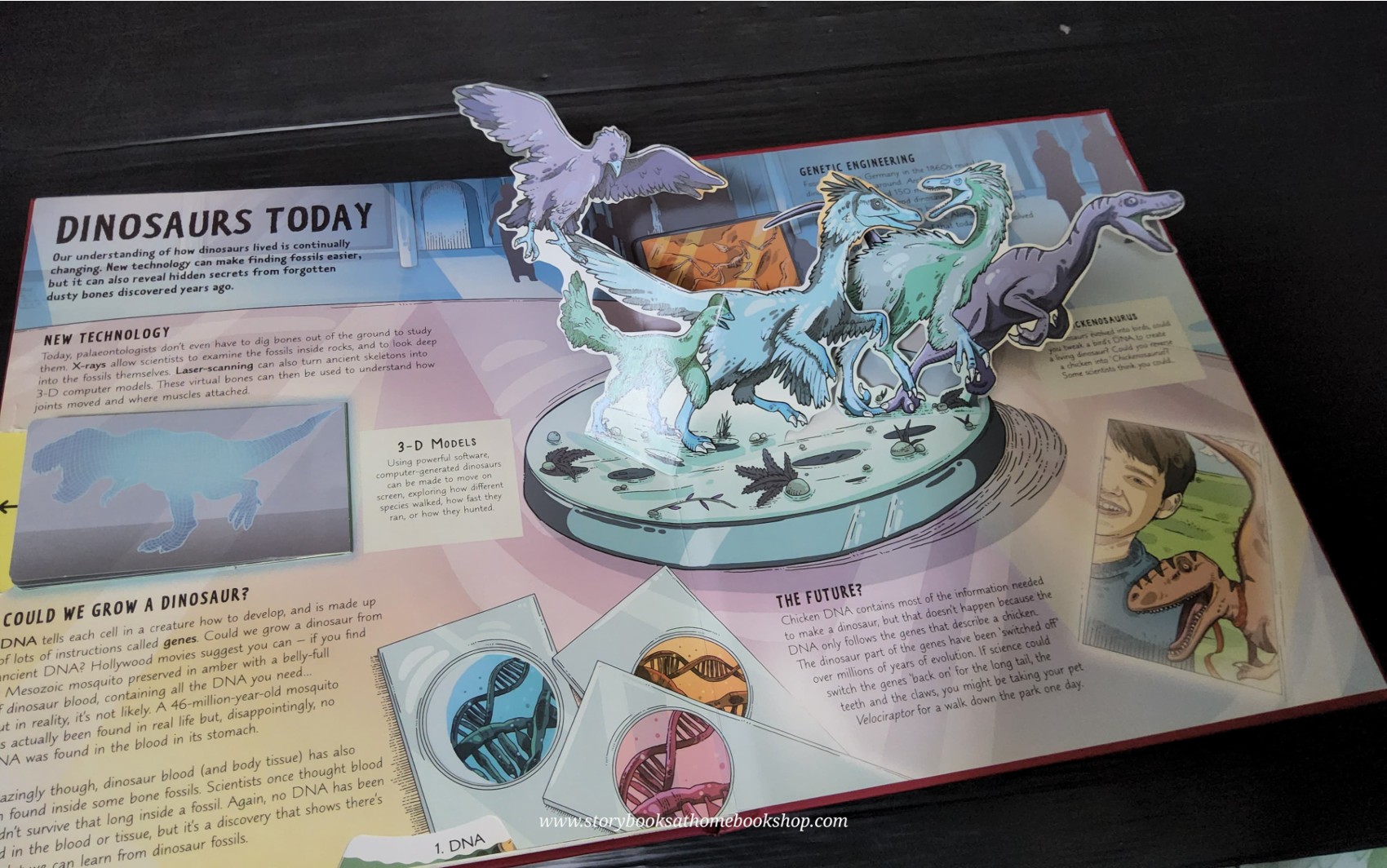 Pop-up Knowledge book ** 🍅🍓 A DAY AT THE DINOSAUR MUSEUM