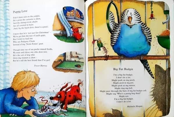 หนังสือนิทานเด็ก ภาษาอังกฤษ ปกอ่อน 🍅🍓THE HAIRY HAMSTER HUNT AND OTHER PRT POEM/Used สภาพ 80-90%