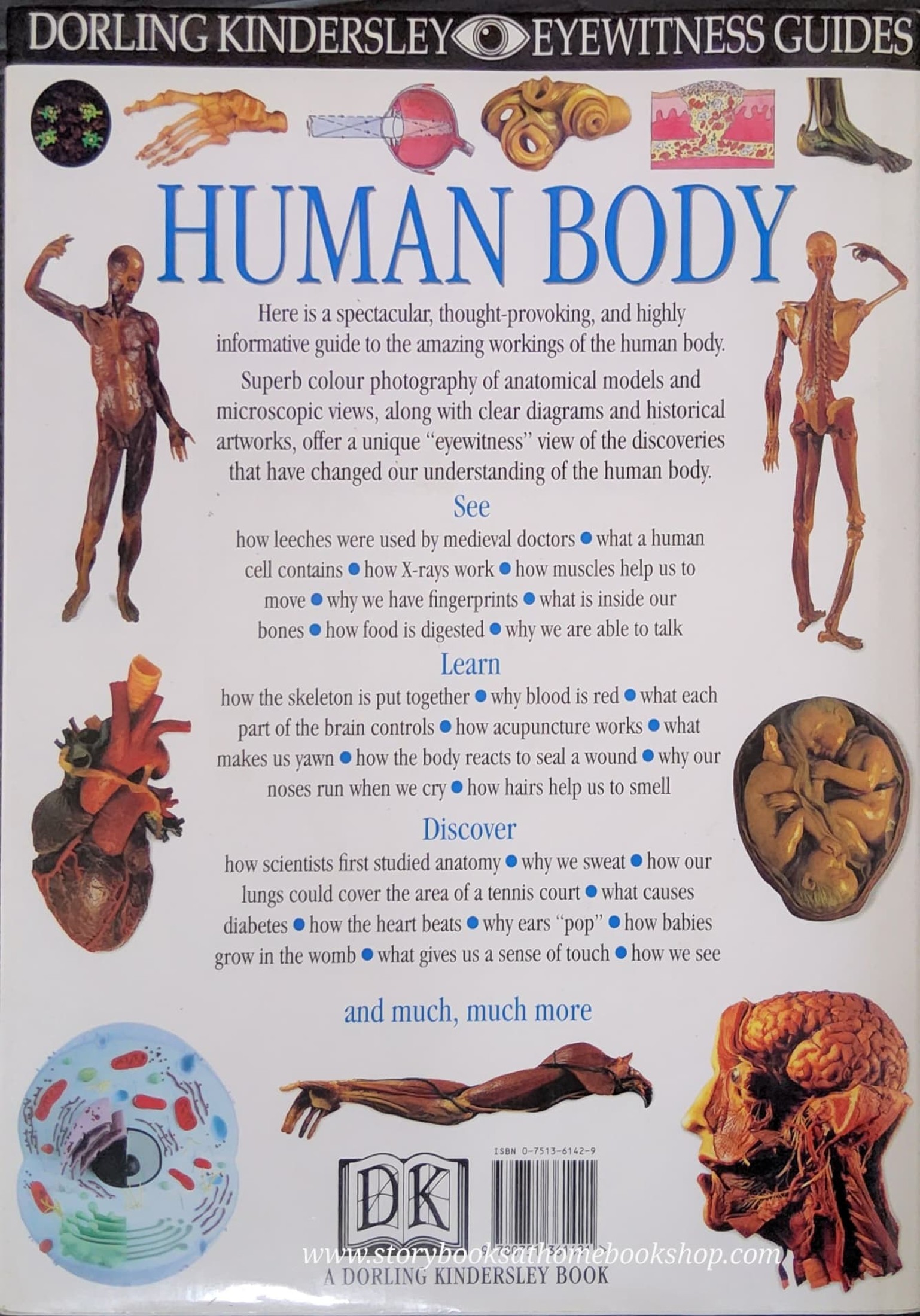 KNOWLEDGE BOOK** ♥️DK EYEWITNESS GUIDES:HUMAN BODY