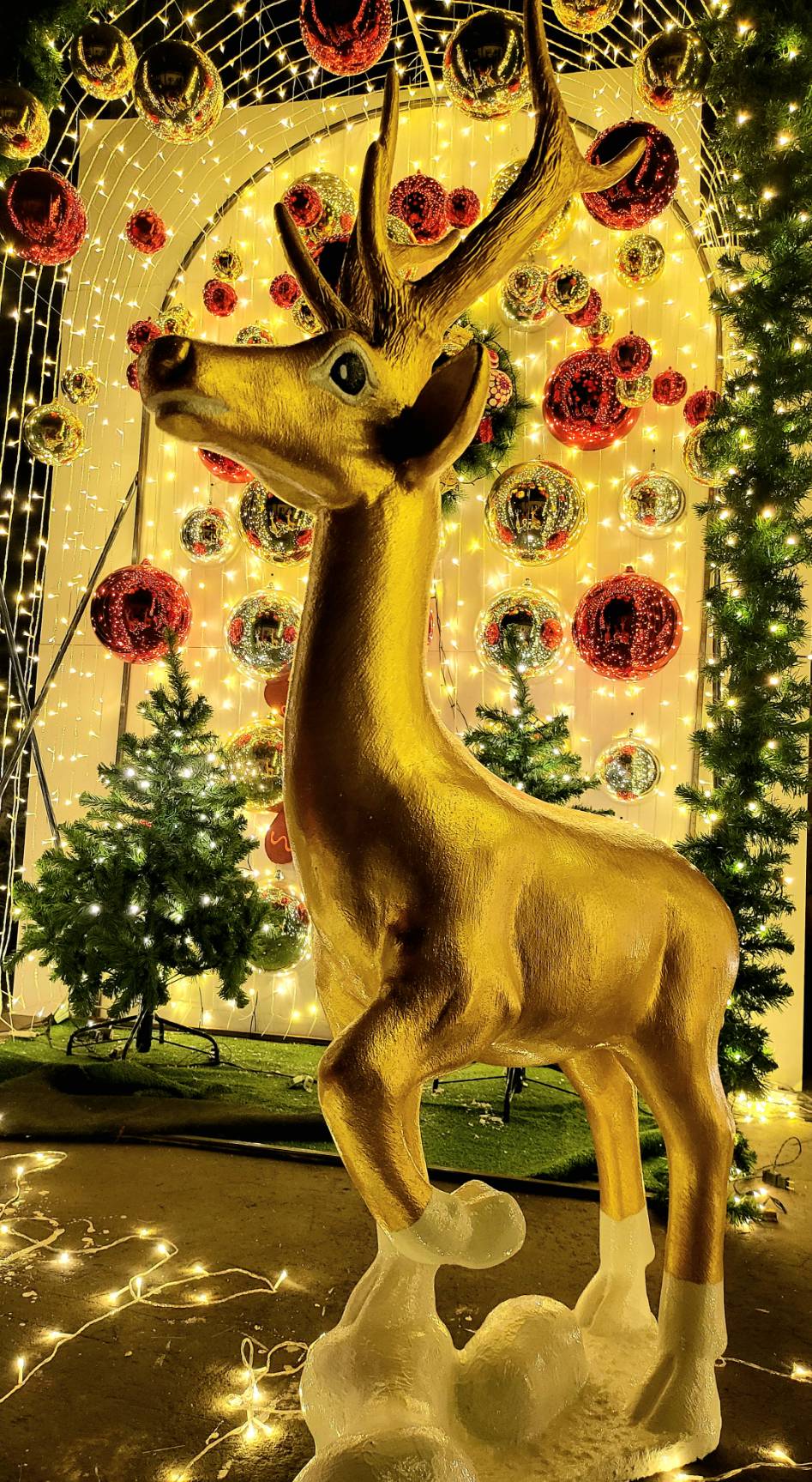 ให้เช่ากวาง3ตัว ขี่หลังได้ Set