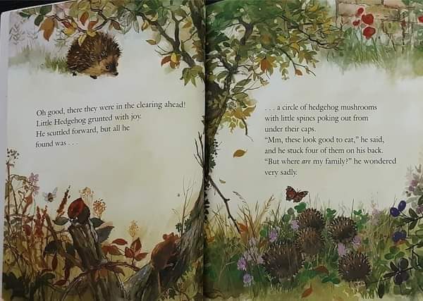 หนังสือนิทานปกอ่อน** 🍅🍓THE PRICKLY HEDGEHOG