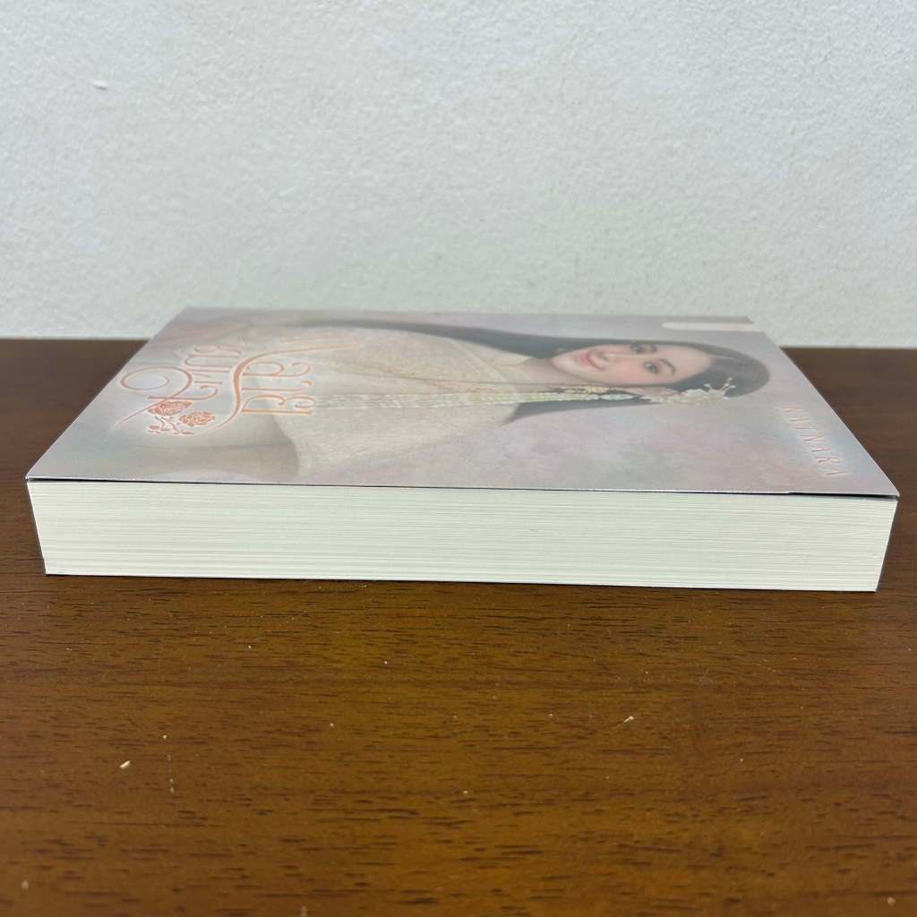 พลายชุมพล ... ณัฐณรา (มือสอง) นิยาย โรมานซ์ โรแมนติก