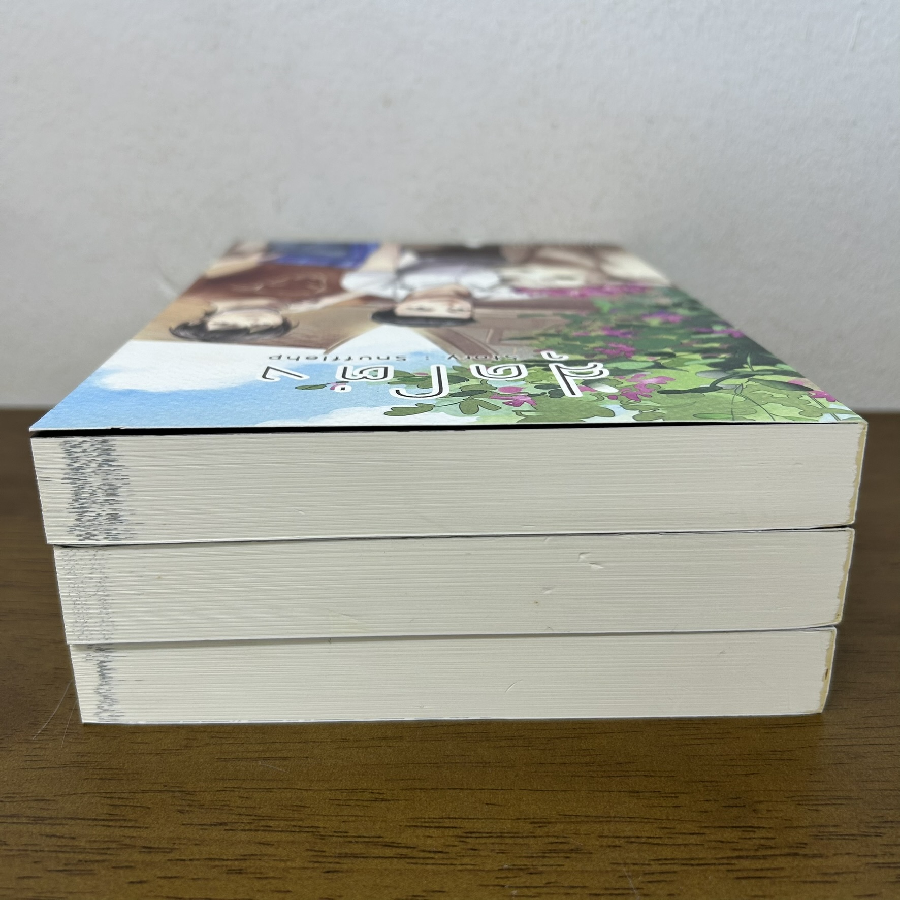 [YAOI] สุดโต่ง เล่ม 1-3 จบ ครบชุด ... Snufflehp (มือสอง) นิยายวาย