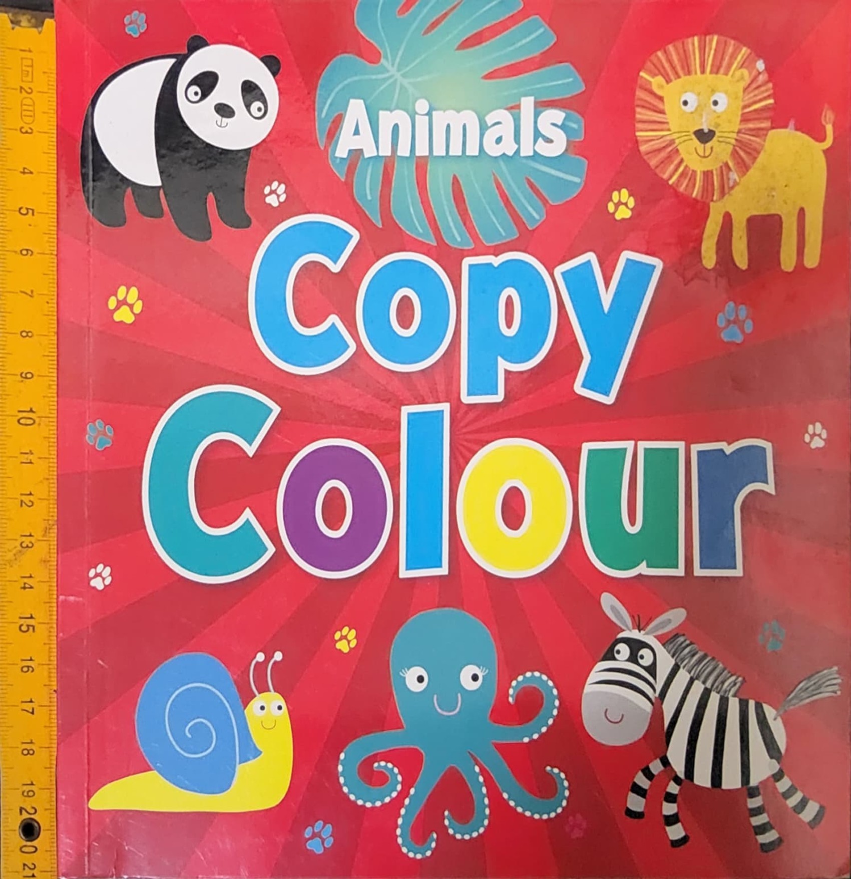 หนังสือวาดรูป Copy Colour