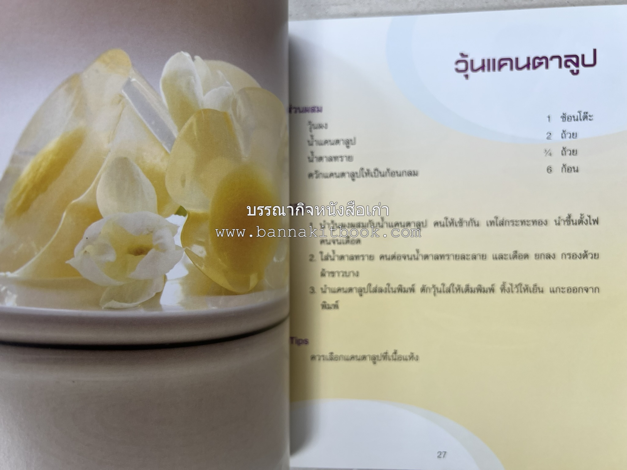 วุ้นหลากสไตล์ โดย : อ.ธนศักดิ์ ตั้งทองจิตร.