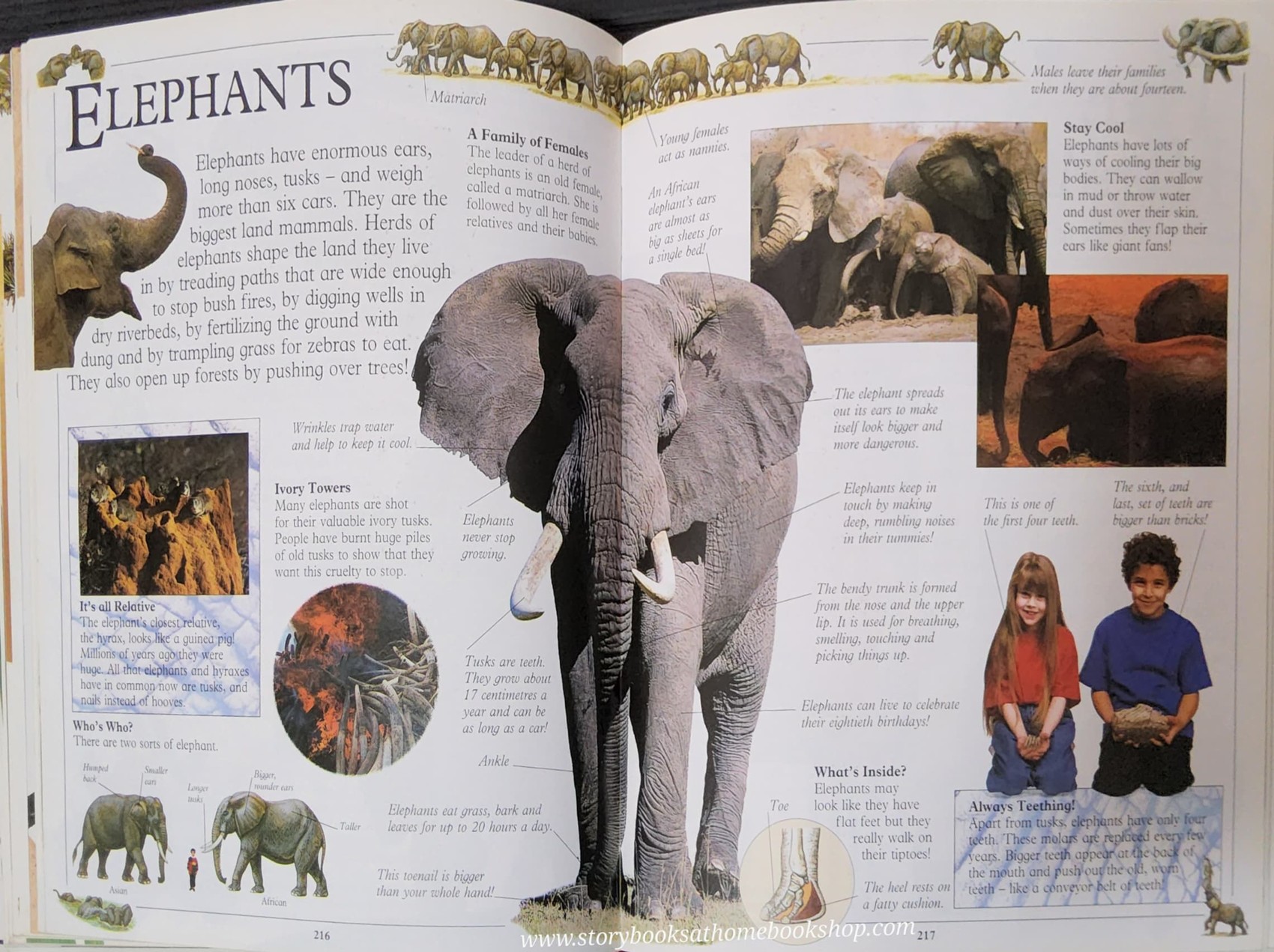 **KNOWLEDGE BOOK** ð
ðTHE DORLING KINDERSLEY BIG BOOK OF KNOWLEDGE