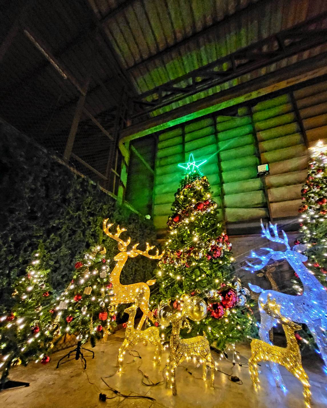 กวางคริสต์มาสไฟขนาด 1.5เมตร