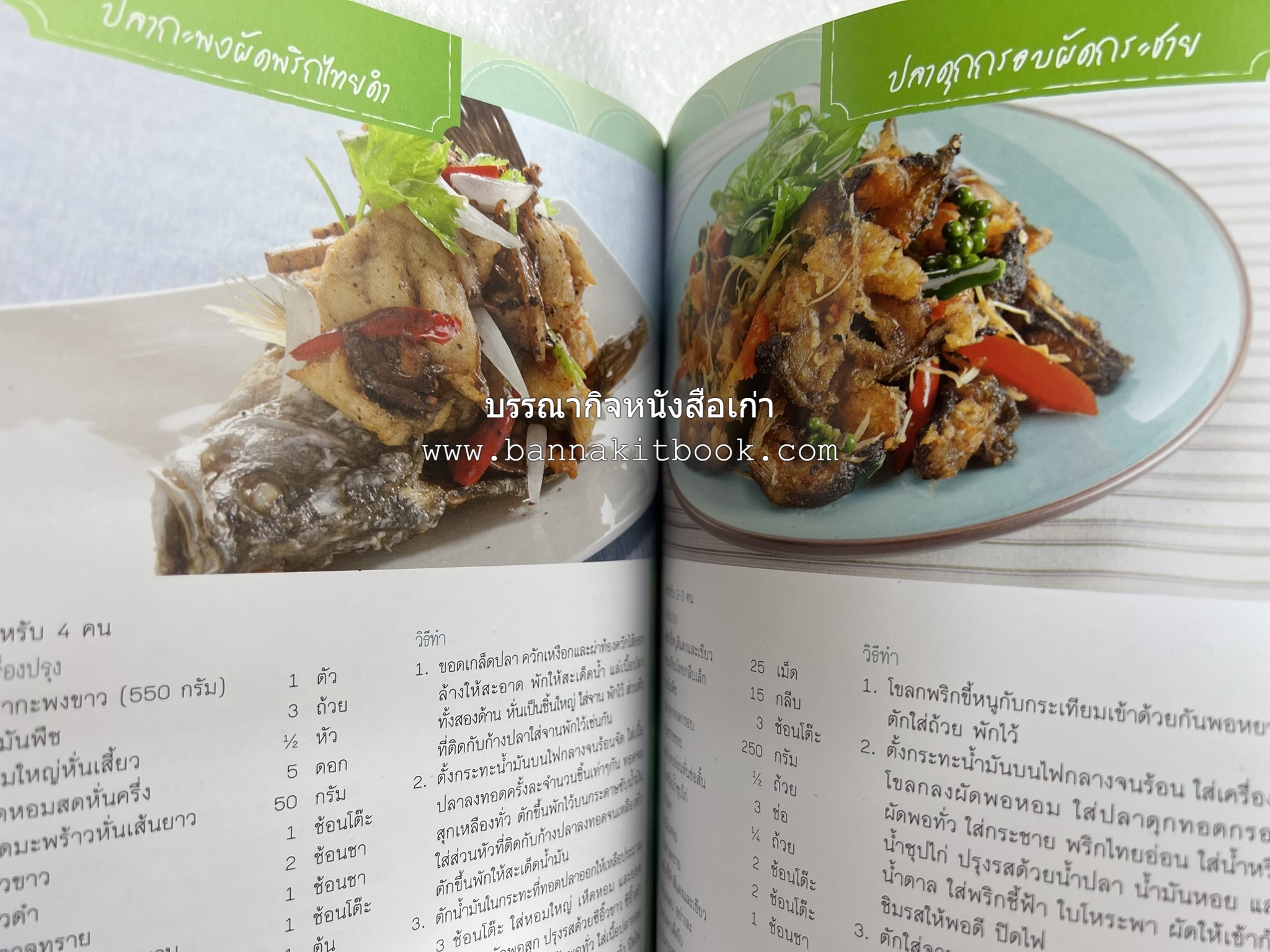 ปลา ขายดี มีอาชีพ โดย : สิริรักษ์ บางสุด.