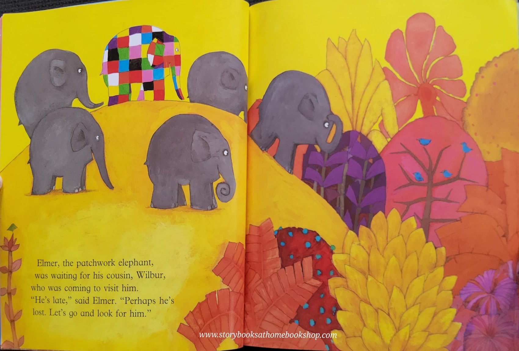 หนังสือนิทานปกอ่อน** 🍓🍓ELMER AND WILBUR BY DAVID MCKEE