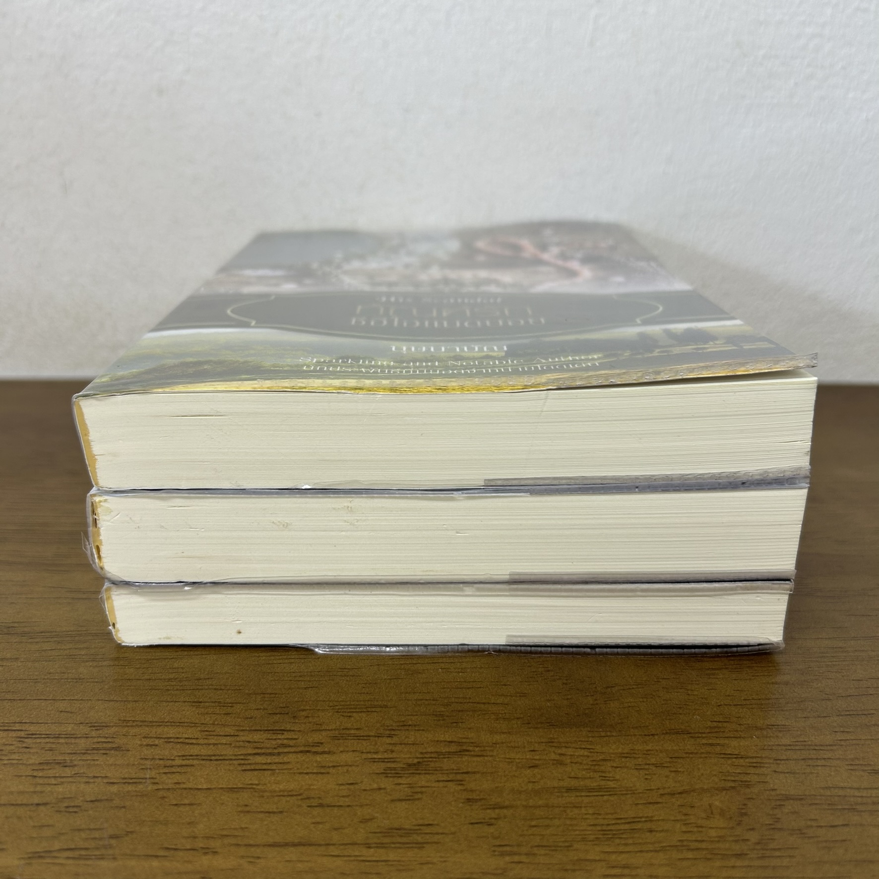 ชุด His Scandal - ทัณฑ์รักซีอีโอแบดบอย เล่ห์รักกับดักจอมบงการ สัมพันธ์ลับคืนเดียว ... บุษบาบัณ ตะวัน ศิริภักดิ์ (มือสอง)