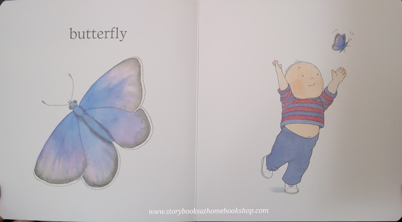 BOARD BOOK ** 🍅🍓I SEE BY HELEN OXENBURY