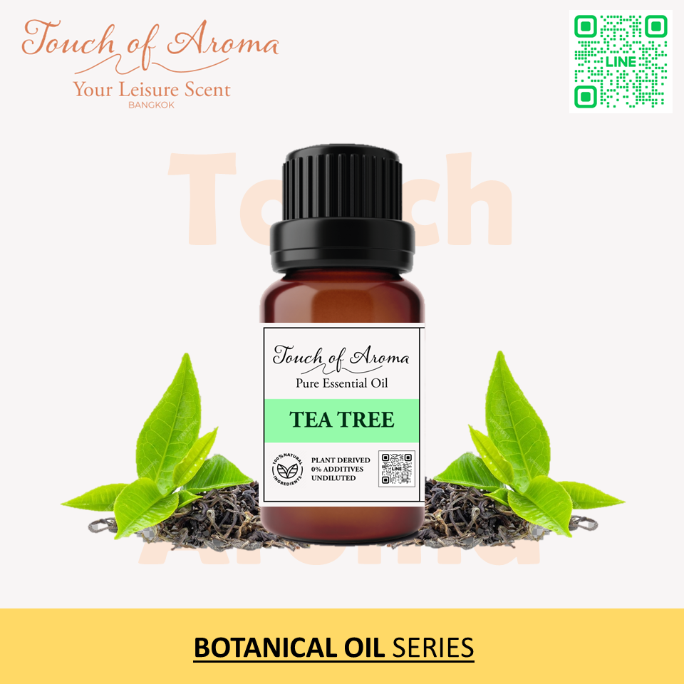 TEA TREE ESSENTIAL OIL 100% Pure Natural น้ำมันหอมระเหยลาเวนเดอร์ บริสุทธิ์แท้ 100%