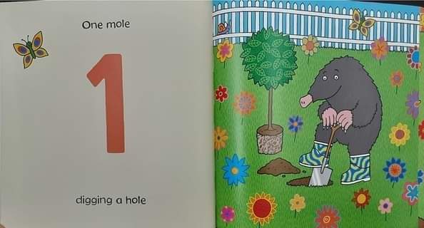 หนังสือนิทานปกอ่อน ** 🍅🍓 ONE MOLE DIGGING A HOLE by Julia Donaldson.NICK SHARRATT