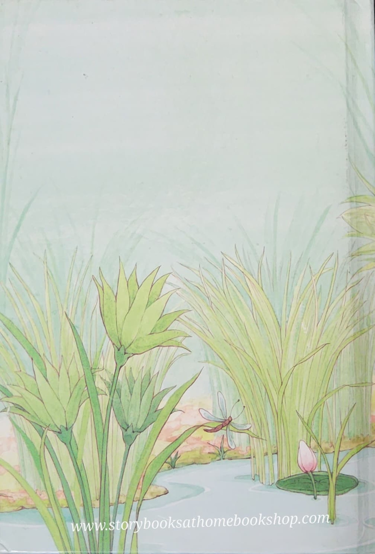 หนังสือนิทานปกแข็ง** 🍅🍓AN LICE IN BIBLELAND STORYBOOK:THE STORY OF BABY MOSES