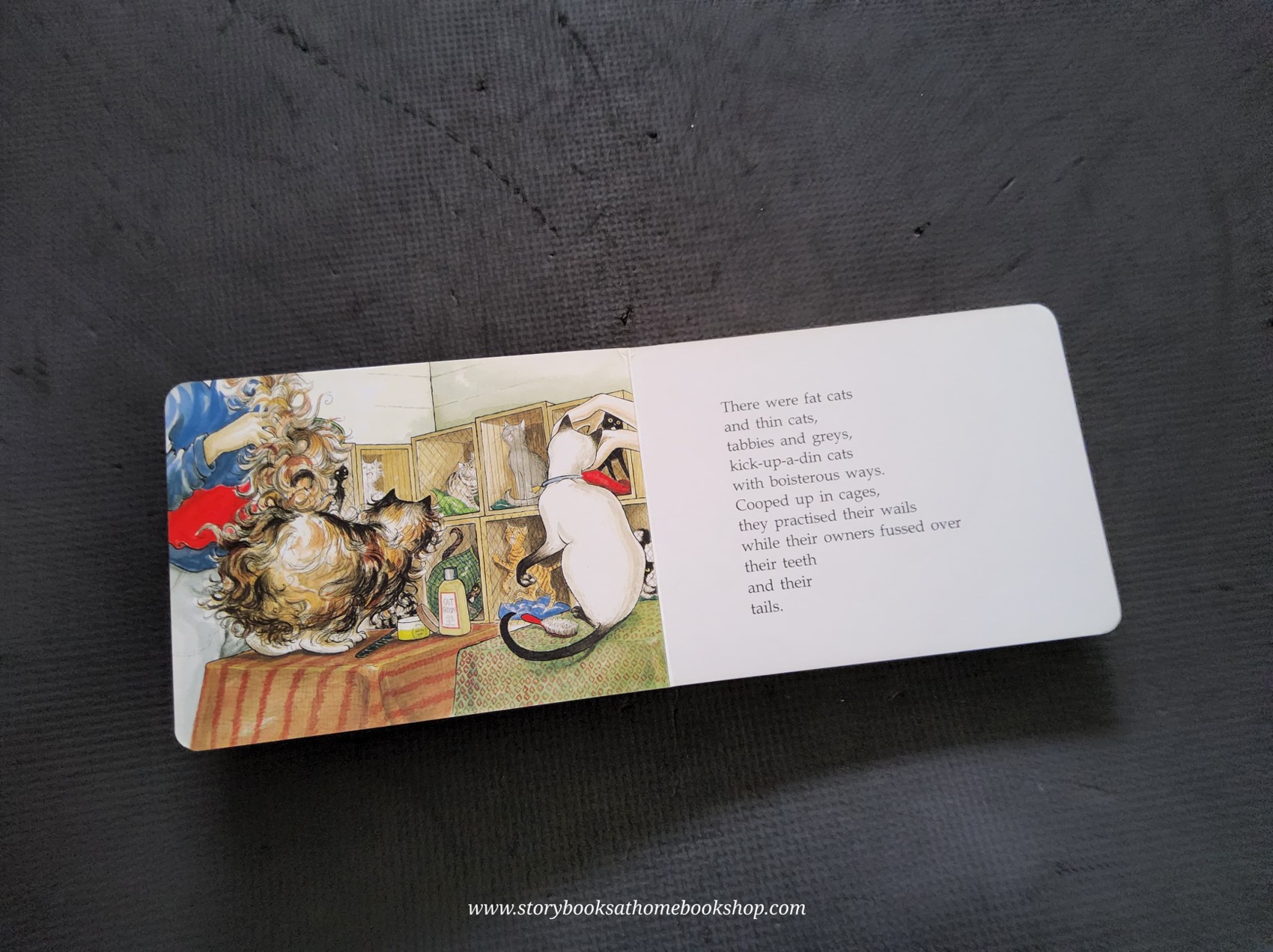 RECOMMENDED BOOK** **BOARD BOOK ** 🍅🍓 HAIRY MACKLARY'S SHOWBUSINESS by Lynley Dodd