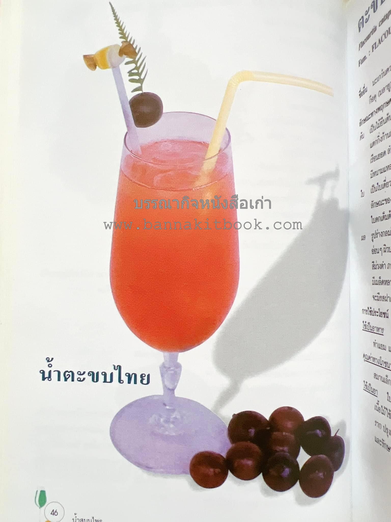น้ำสมุนไพร 108 สูตร-วิธีทำจากผักพื้นบ้านและผลไม้ไทย โดย สถาบันการแพทย์แผนไทย.