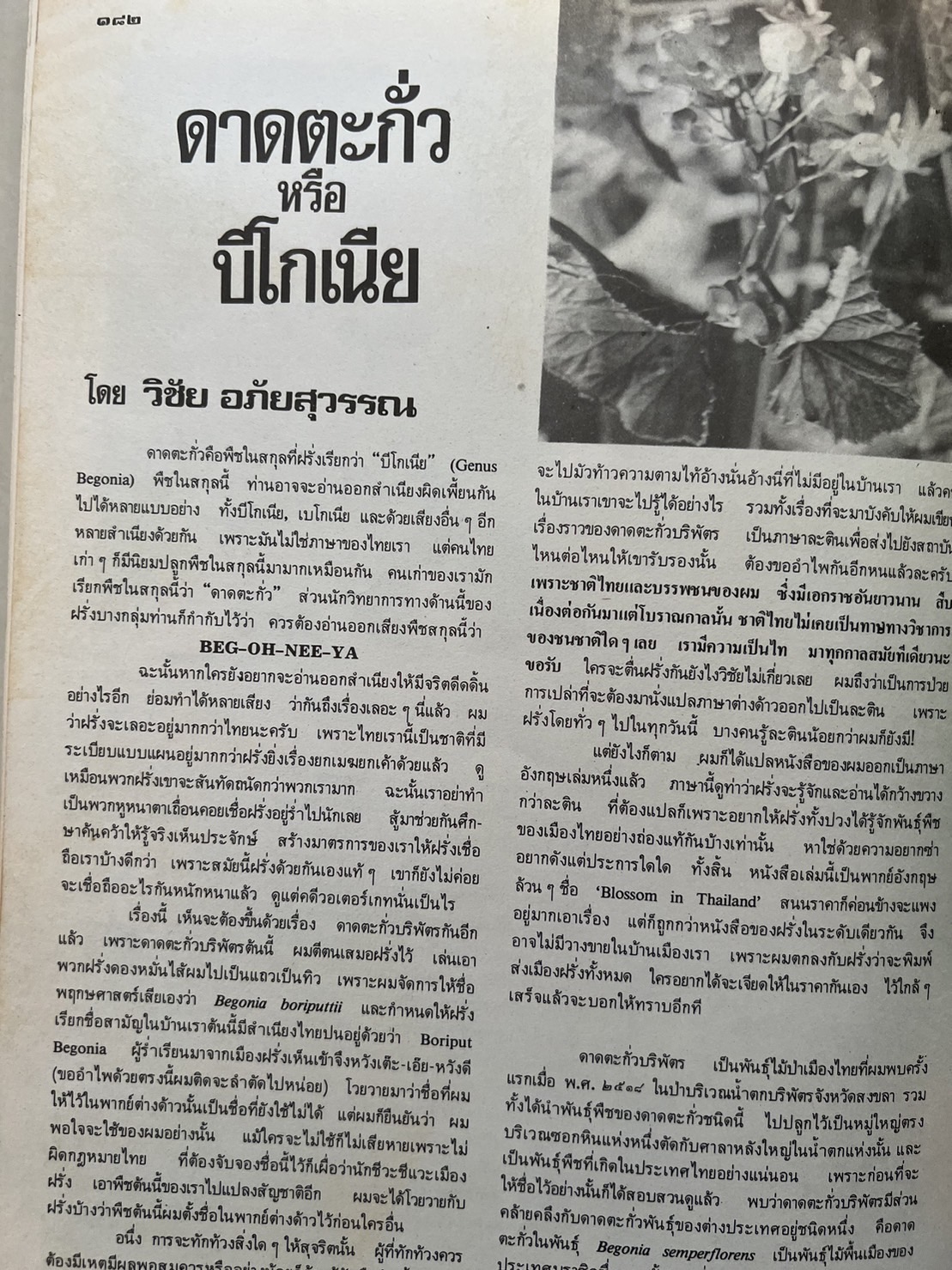 ธรรมชาติศึกษา : ฉบับแนะนำไม้ใบ-ไม้ประดับของไทยและเทศ (ชุดที่ 1 เล่มที่ 2 ลำดับที่ 2 ปี 2521).