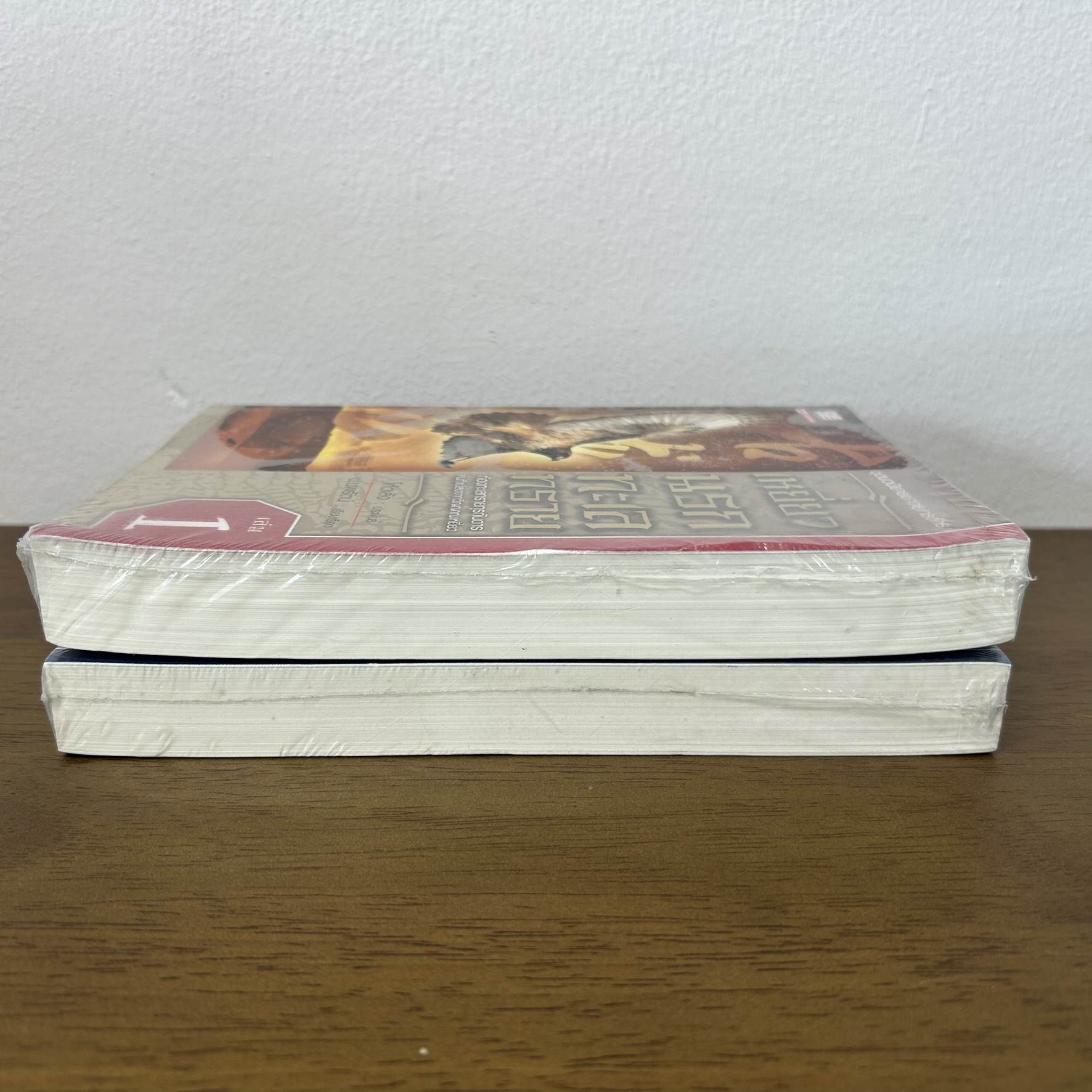 เหยี่ยวนรกทะเลทราย เล่ม 1-2 จบ ครบชุด ... โก้วเล้ง น.นพรัตน์ (มือหนึ่งขีดสัน) นิยาย แปลจีน สยามอินเตอร์ กำลังภายใน