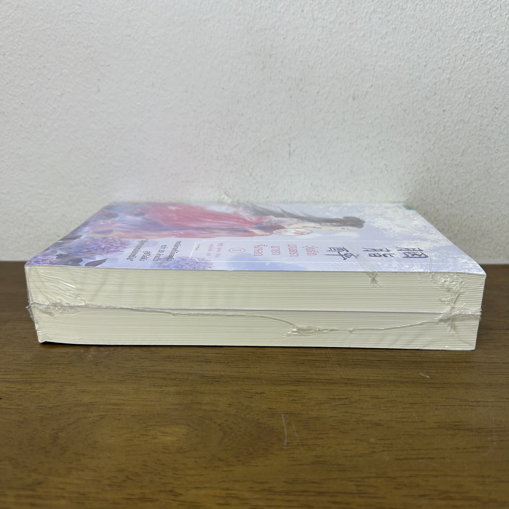วุ่นรักมนตรามายาจิ้งจอก เล่ม 1-2 จบ ครบชุด ... สุ่ยเหอ (มือหนึ่งซีล) แปลจีน นิยาย อรุณ