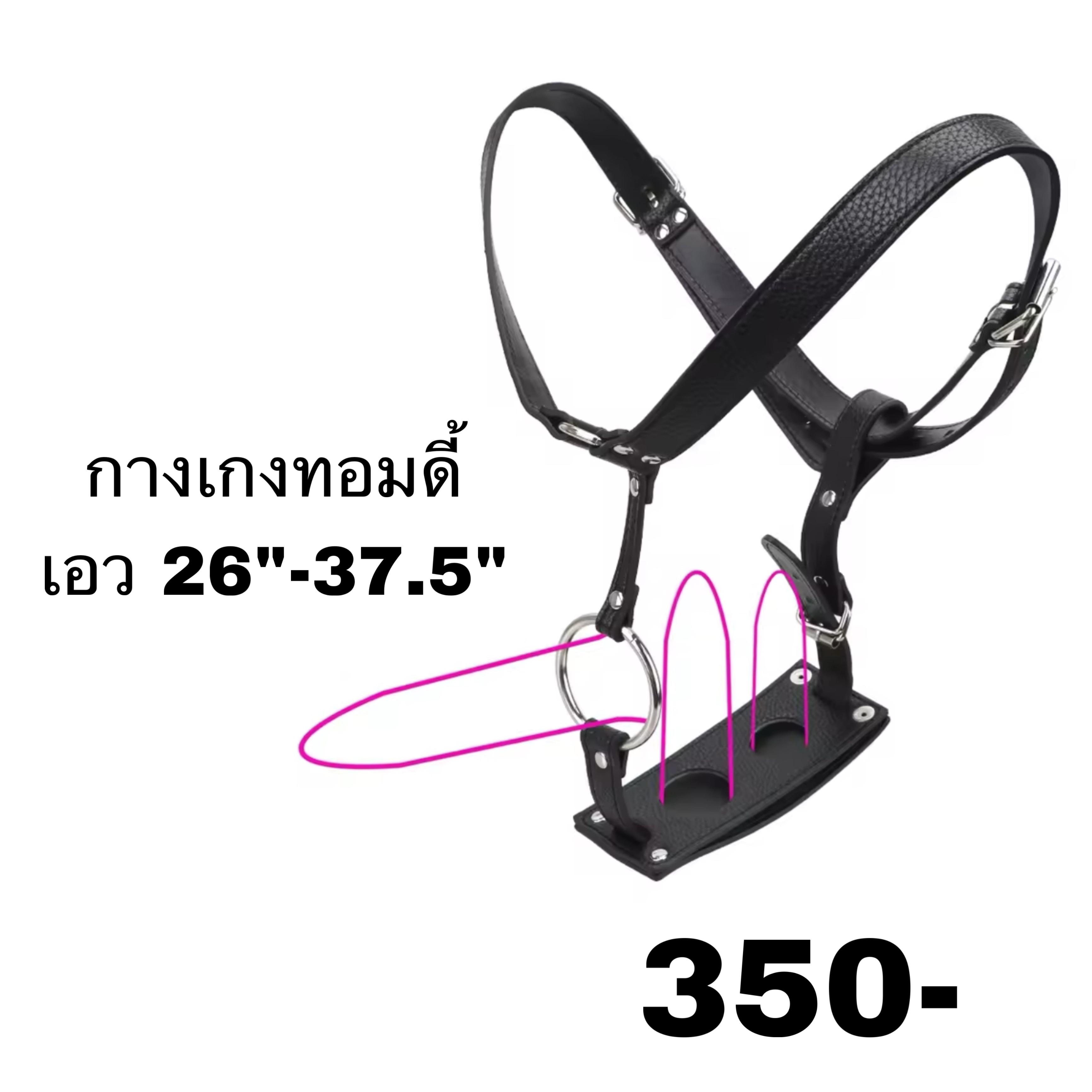 กางเกงทอม