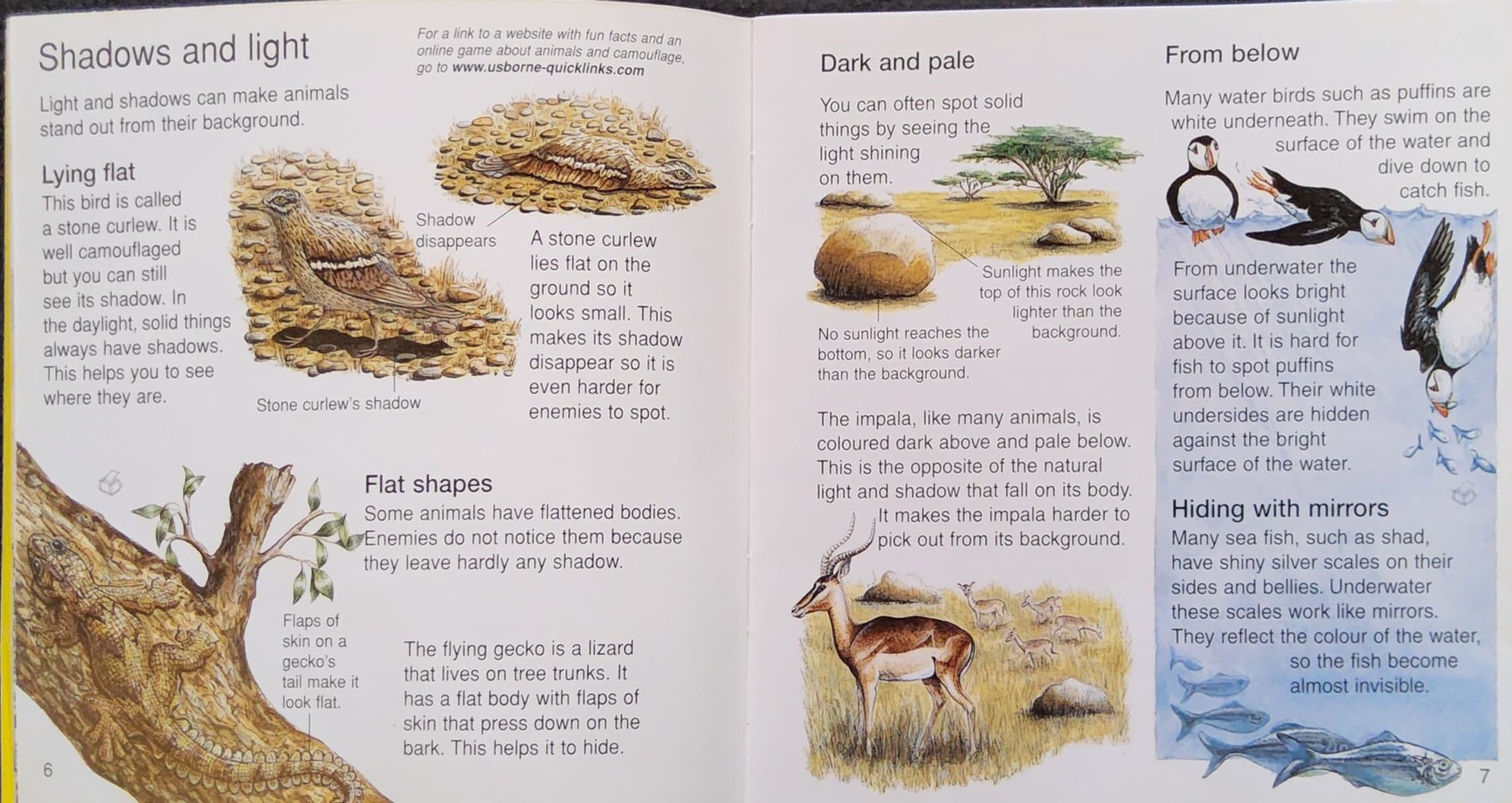 KNOWLEDGE BOOK** ♥️♥️USBORNE POCKET SCIENCE WHY DO TIGERS HAVE STRIPES?