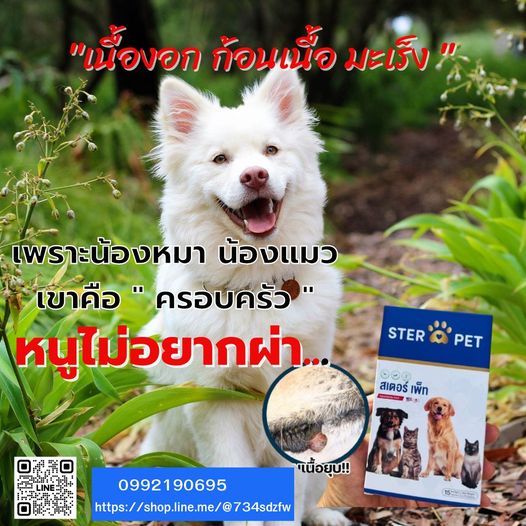 เนื้องอก ก้อนเนื้อ มะเร็ง น้องหมาแมว