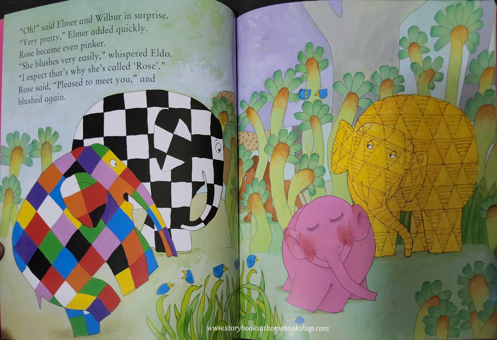 หนังสือนิทานปกอ่อน** 🍅🍅ELMER AND ROSE