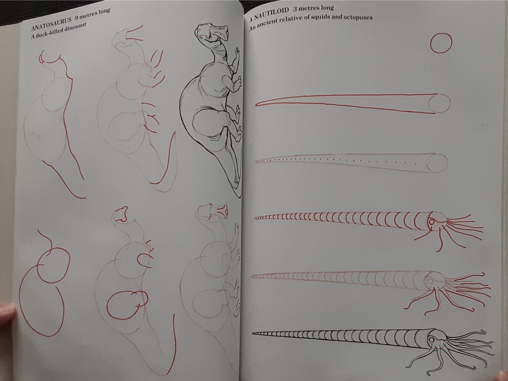 Knowledge Book** ð
ðDRAW 50 DINOSAURS AND OTHER PREHISTORIC ANIMALS