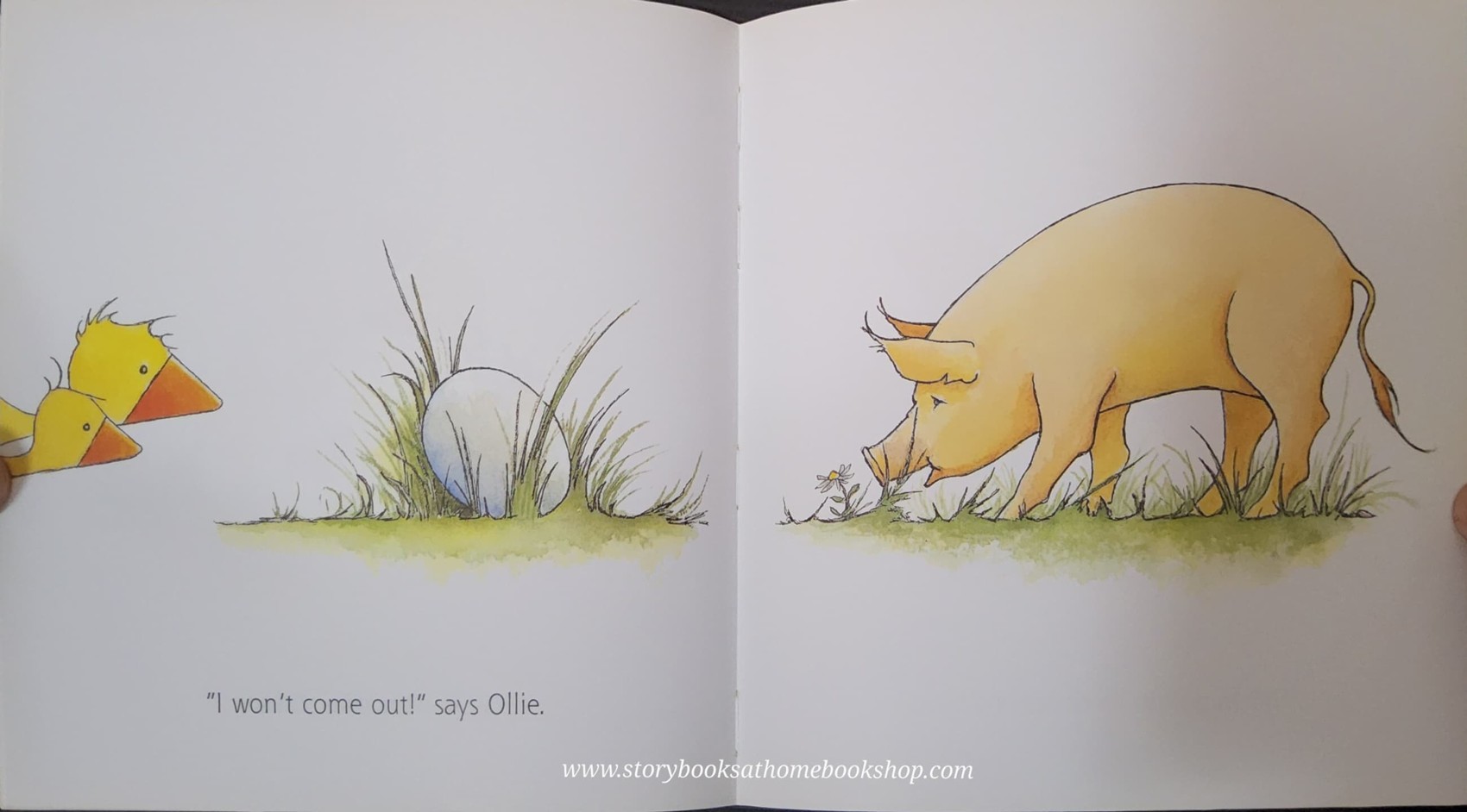 หนังสือนิทานปกอ่อน** 🍅🍓GOSSIE&FRIENDS OLLIE BY OLIVIER DUNREA