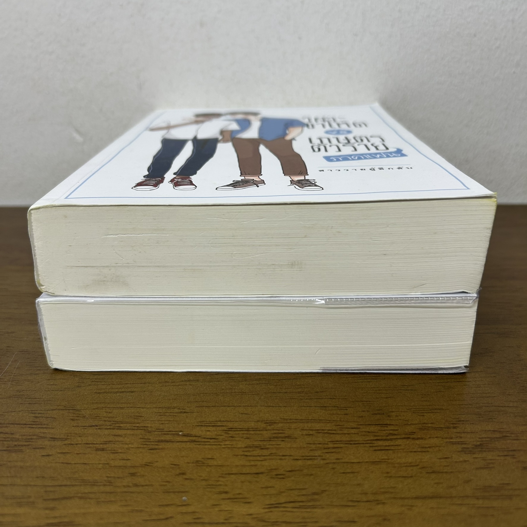 [YAOI] วิศวะขาโหด VS เกษตรตัวร้าย ภาคหลัก+ภาคแฟน 2 เล่ม ... สาววายผู้ลึกลับ (มือสอง) นิยายวาย