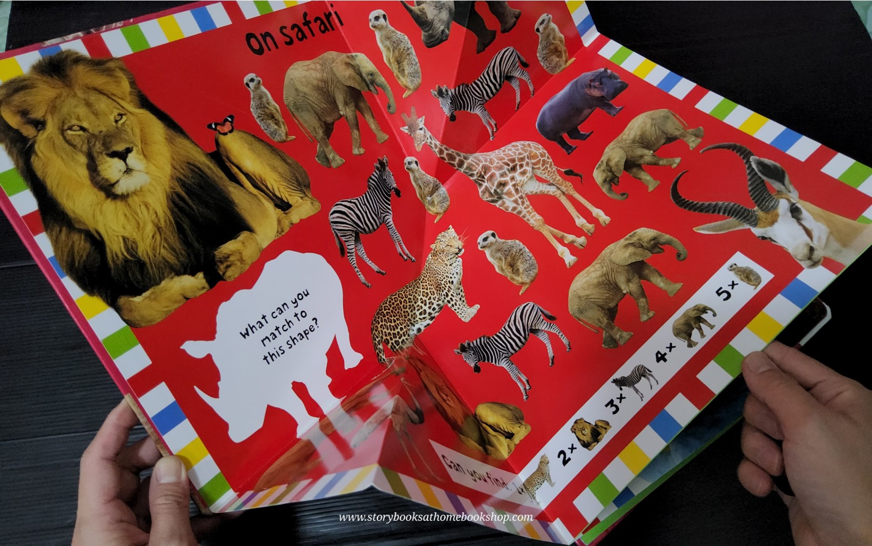 FOLD OUT BOOK ** 🍅🍓A FOLD OUT BOOK AT THE ZOO