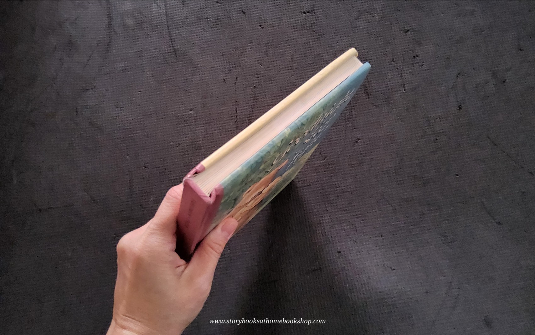 Board Book ** 🍅🍓GOODNIGHT,SLEEP TIGHT!