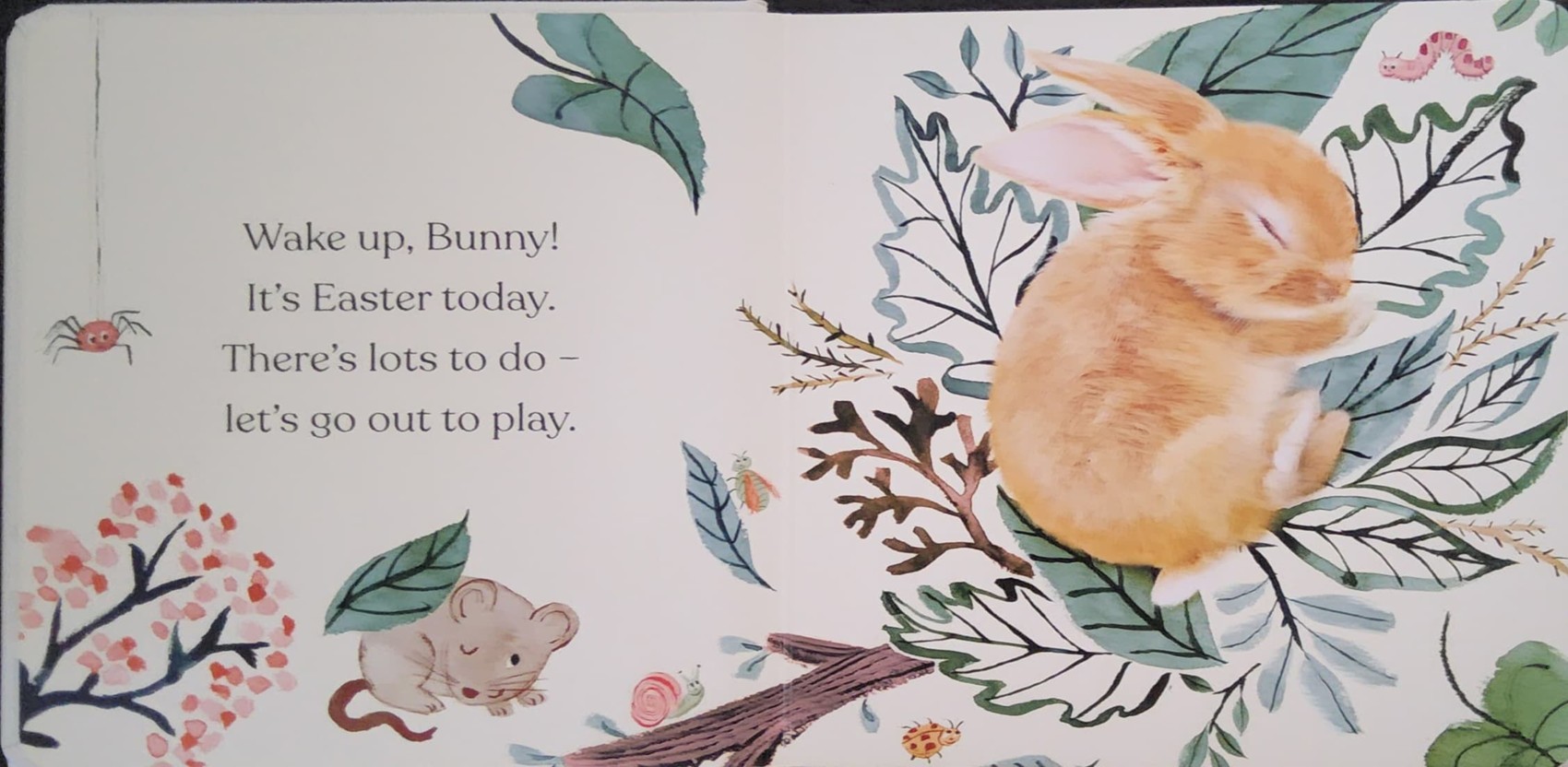 BOARD Book** 🍅🍓Happy Easter,Little Bunny