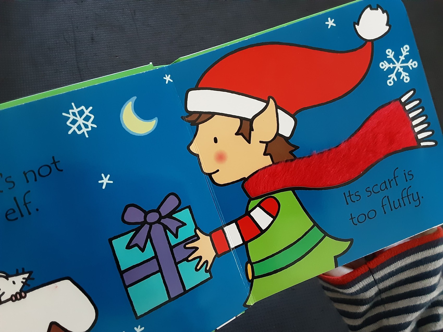 Touch and Feel BOARD BOOK** 🍅🍓That's not my elf..