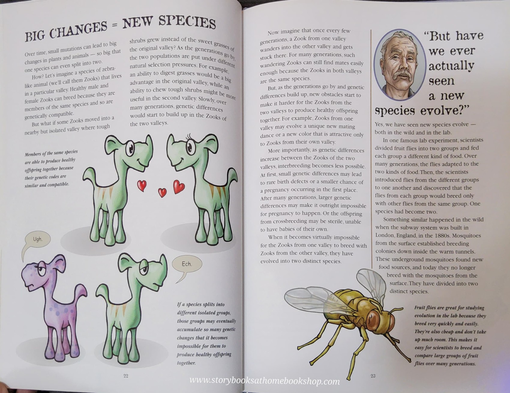 KNOWLEDGE BOOK** ð
ð
EVOLUTION