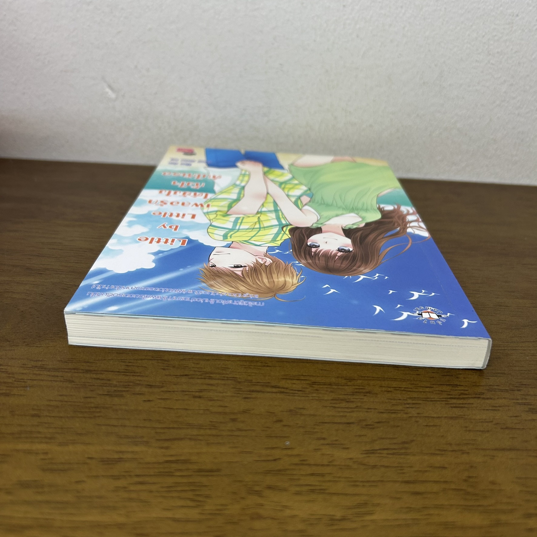 Little by Little เผลอรักได้ยังไง ทั้งใจดันให้เธอ ... Mina (มือสอง) นิยาย แจ่มใส เลิฟซีรีส์