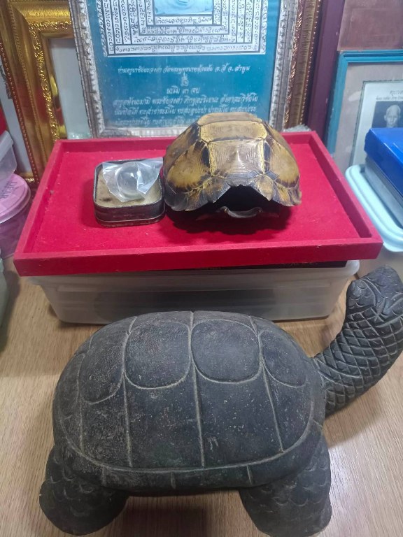 เต่าไม้ขนาดบูชา มีรอยจาร ครูบาชัยยะวงศา ได้มาจากหนานป๋อง อายุ 64 ปี เคยบวชรับใช้ครูบาวงศ์ บวชเมื่อปี 2522 สึกเมื่อปี 2553 สึกออกมาเป็นฆาราวาส อาศัยอยู่ที่บ้านป่าไผ่ อ.ลี้ ได้รับของหลายชิ้นมาจากครูบาวงศ์ หลวงปู่เสกให้ในกุฏิ มอบให้หนานป๋อง