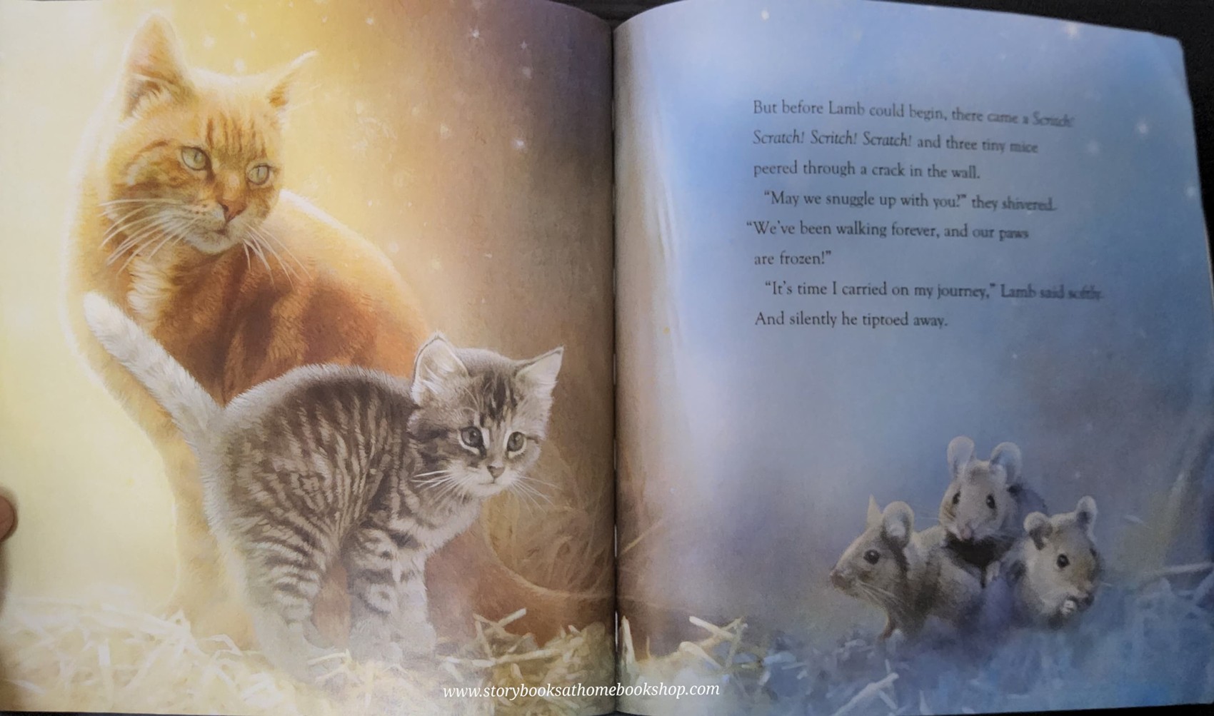 หนังสือนิทานปกอ่อน** 🍅🍓ON THIS SPECIAL NIGHT