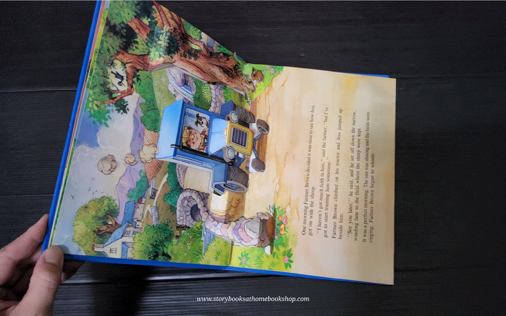 POP-UP BOOK** ♥️TALES OF BUTTERCUP FARM GOOD DOG JESS