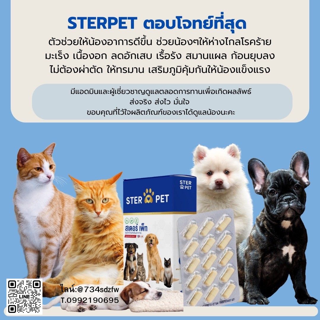 เซตแนะนำ (ชุด 1 เดือน) สเตอร์ เพ็ท Ster Pet เนื้องอกหมาแมว ก้อนเนื้อหมาแมว มะเร็งสุนัขแมว ลดอักเสบ ลดขนาดก้อนเนื้อ ซึม ไม่ร่าเริง เบื่ออาหาร น้ำหนักลด ไตวายหมาแมว แผลยุบเร็ว ( 30 แคปซูล)