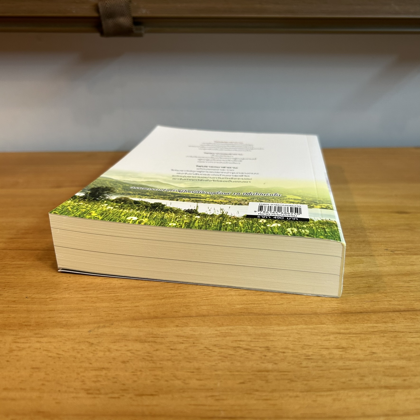 ไฟเสน่หาซาตาน ... ณัฏฐวิตรา (มือสอง) นิยาย โรมานซ์ ทำมือ