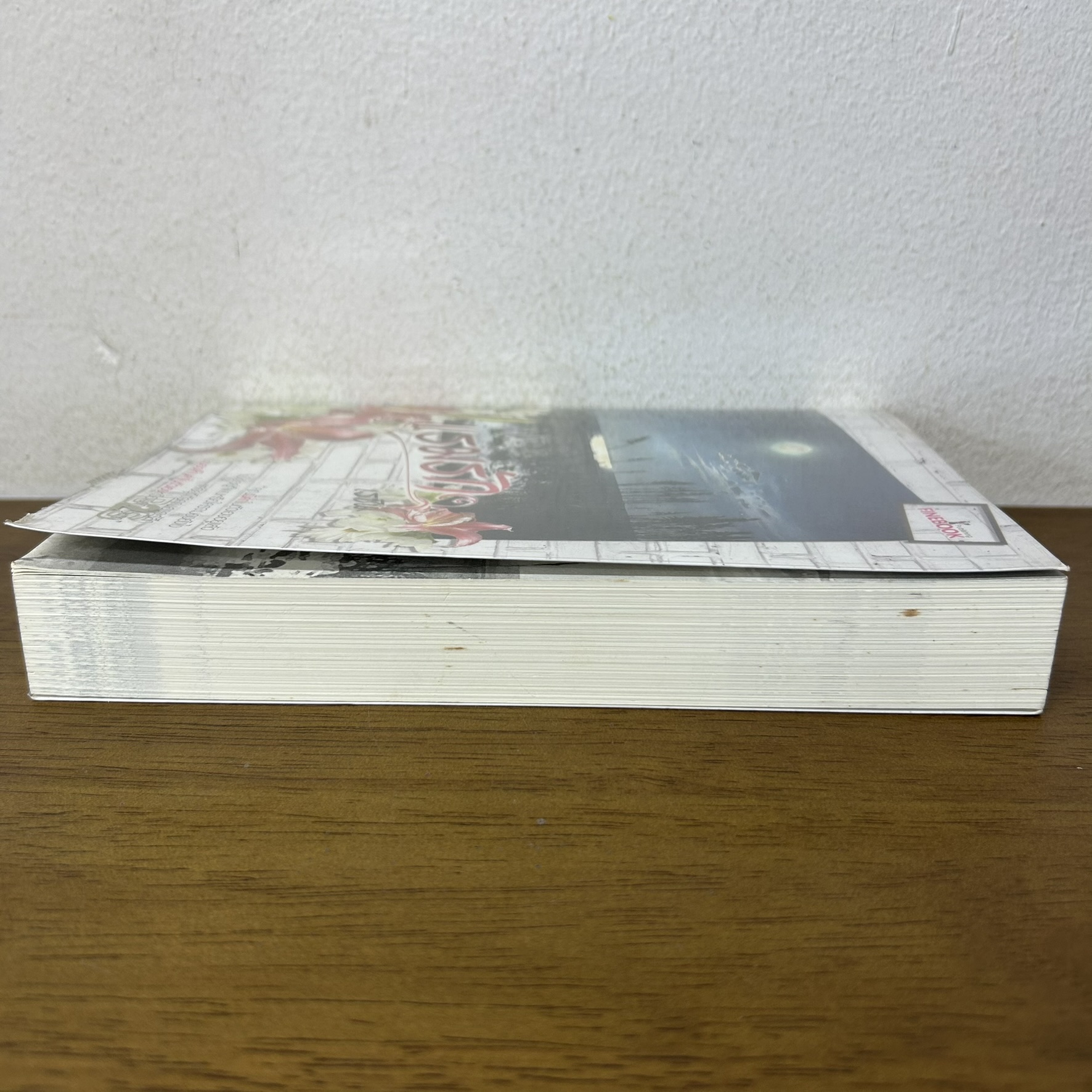 แรมรัก ... เรซิน (มือสอง) นิยาย FINEBOOK