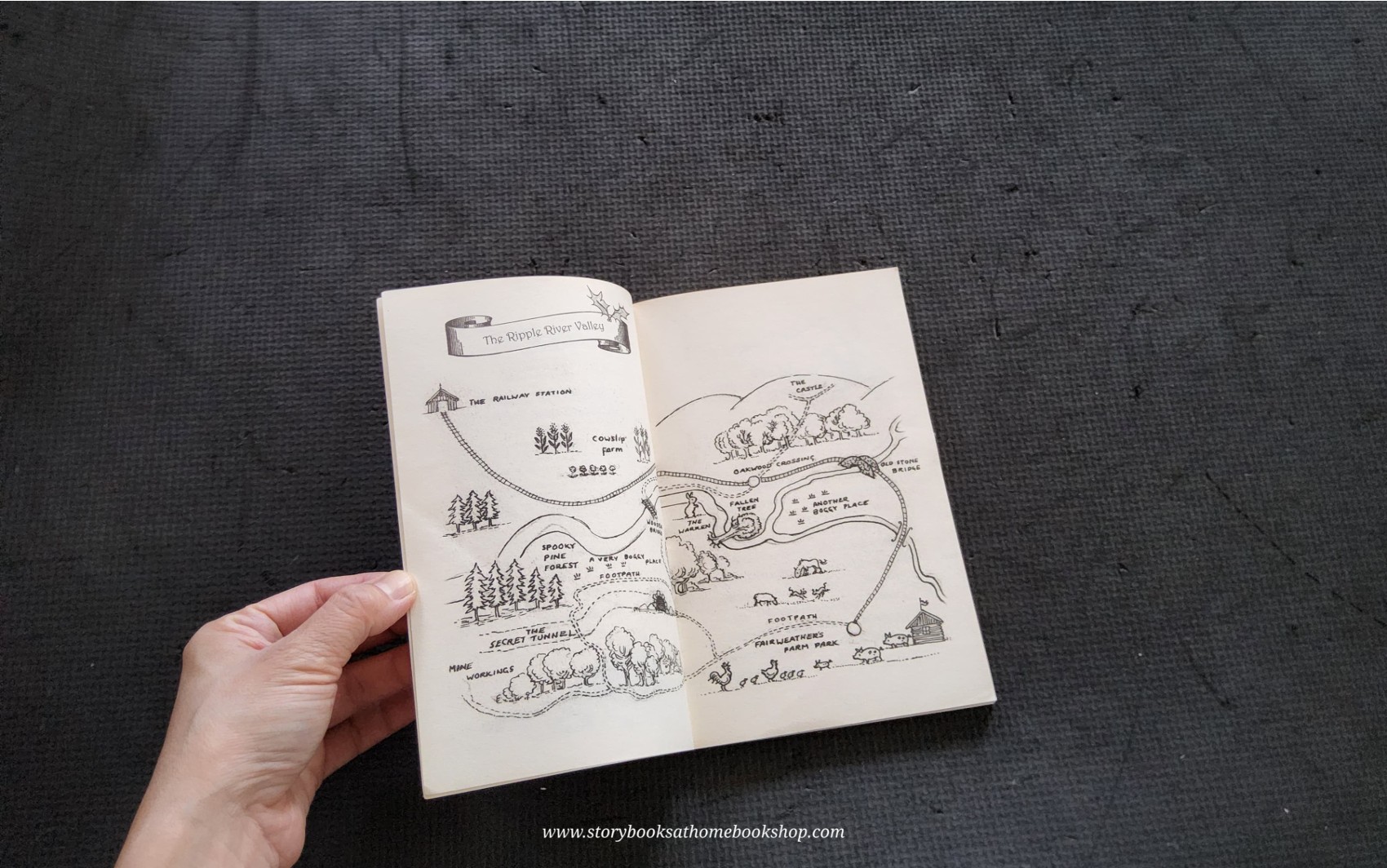 วรรณกรรมเยาวชน** 🍅The Railway Rabbites: Berry Goes to Winterland by Georgie Adams Anna Currey