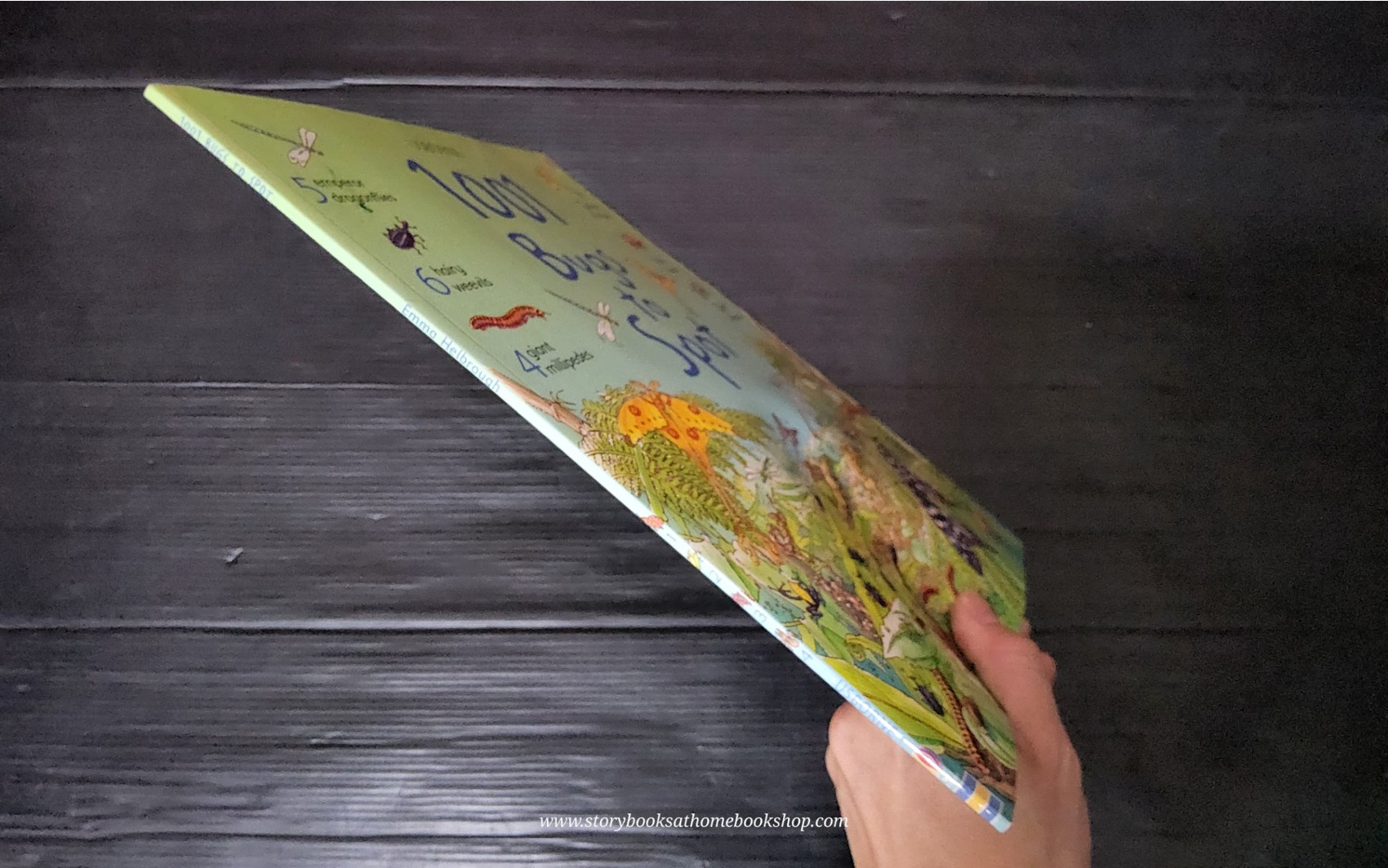 PUZZLE BOOK** ♥️USBORNE 1001 BUGS TO SPOT