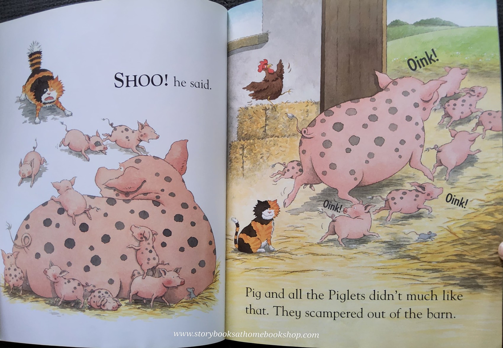 หนังสือนิทานปกอ่อน** 🍅🍅SHOO! BY MICHAEL ROSEN&JONATHAN LANGLEY