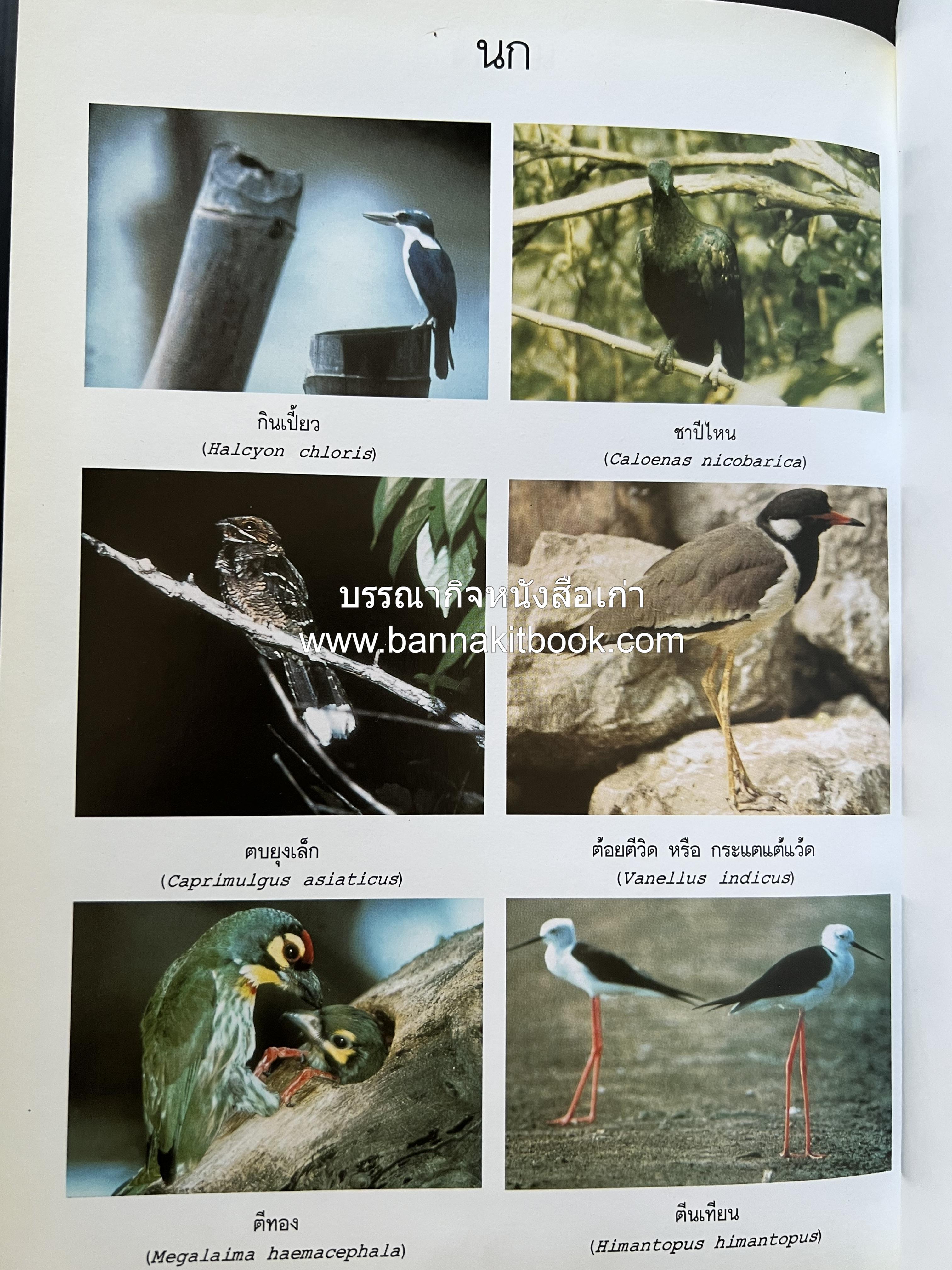 พจนานุกรม ฉบับราชบัณฑิตยสถาน พ.ศ. 2554 โดย : ราชบัณฑิตยสถาน.