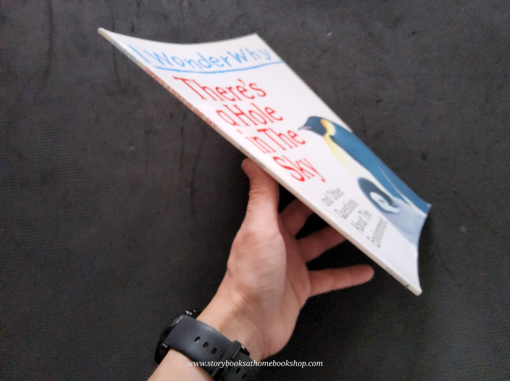 KNOWLEDGE BOOK** ♥️I WONDER WHY THERE'S A HOLE IN THE SKY AND OTHER QUESTIONS ABOUT THE ENVIRONMENT