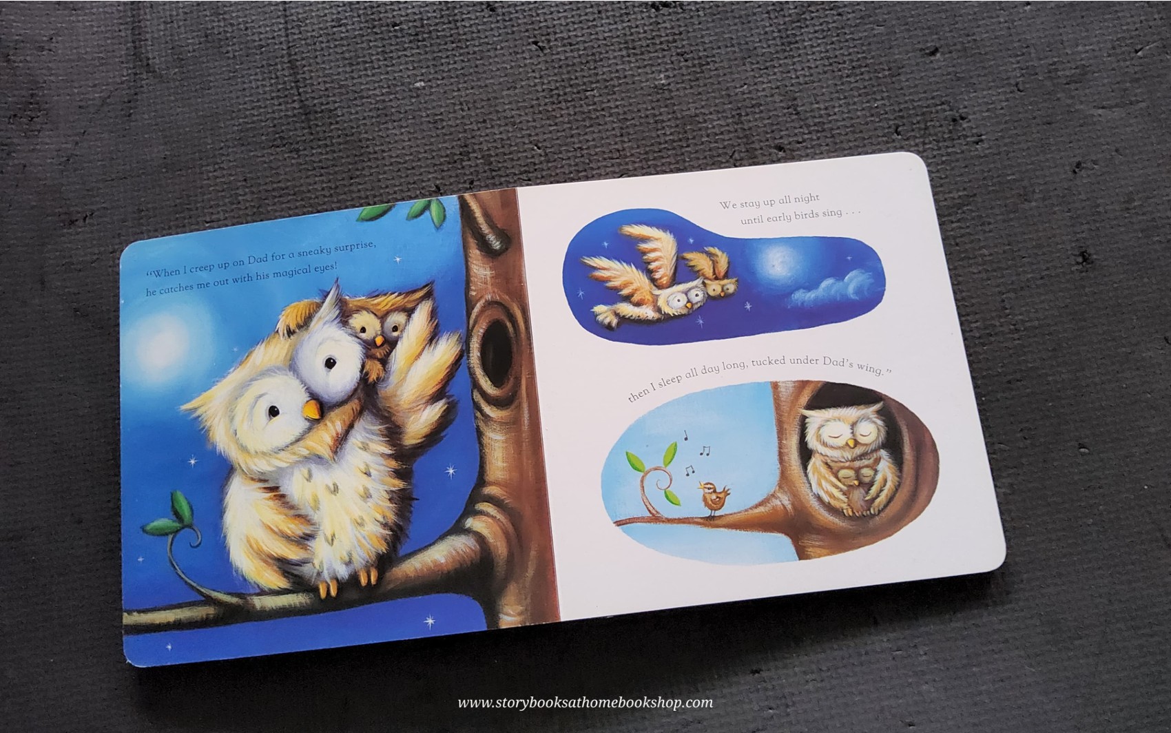 Board Book ** 🍅🍓MY DADDY