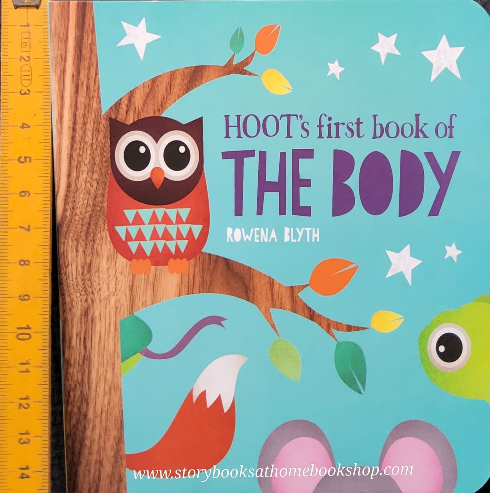 BOARD BOOK** 🍅🍓HOOT'S FIRST BOOK OF THE BODY