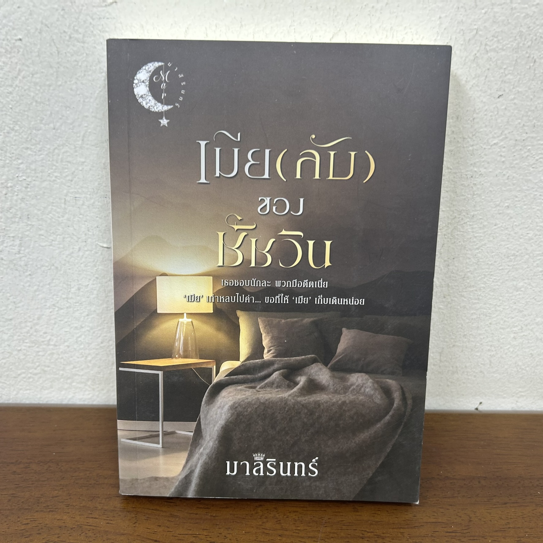 เมียลับของชัชวิน ... มาลีรินทร์ (มือสอง) นิยาย โรแมนติก ทำมือ